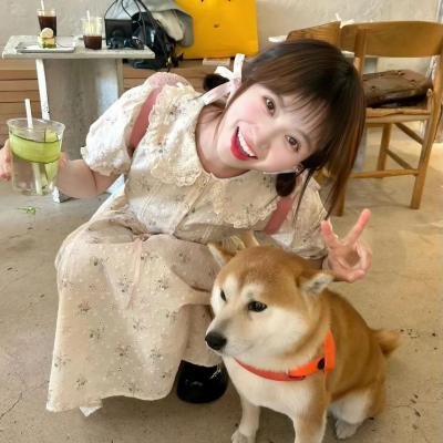 女人行 在线观看封面