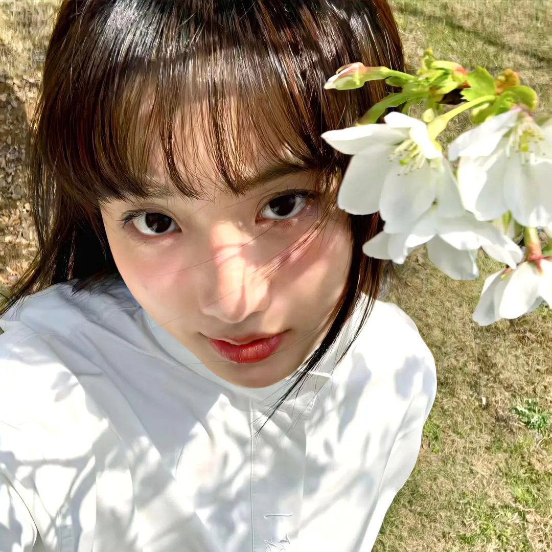 小麻雀 封面